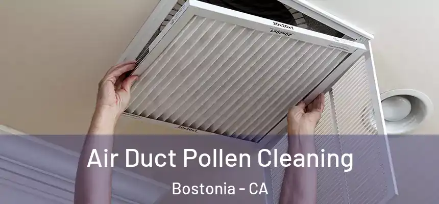  Air Duct Pollen Cleaning Bostonia - CA