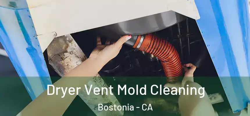  Dryer Vent Mold Cleaning Bostonia - CA