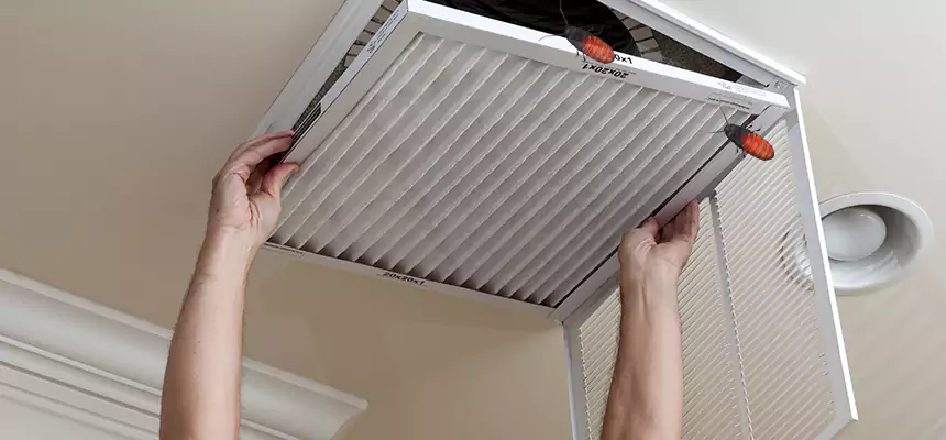 Preventive Cockroach-Proofing for Ducts in Bostonia