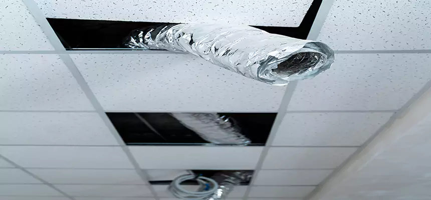 Our Air Duct Pet Hair Removal Services in Bostonia, CA