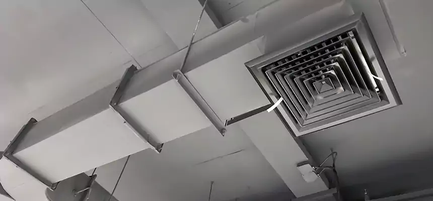 Restorative Allergy Relief Vent Cleaning – Coil, Blower & Housing Detail in Bostonia