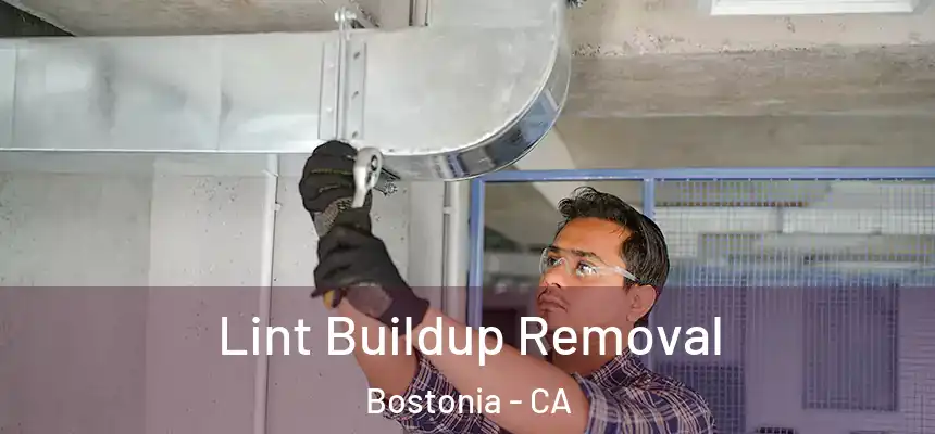  Lint Buildup Removal Bostonia - CA