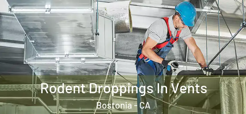  Rodent Droppings In Vents Bostonia - CA