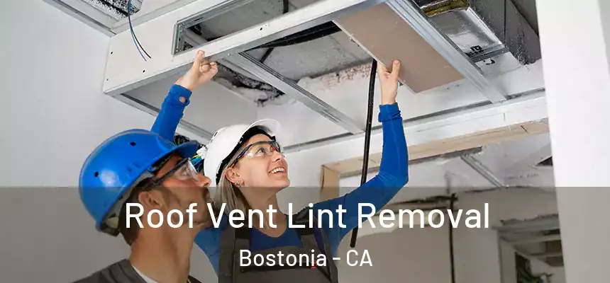  Roof Vent Lint Removal Bostonia - CA