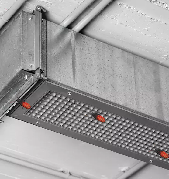 About Air Duct Cockroach Removal in Bostonia, CA