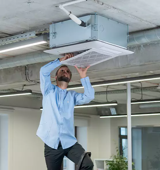 Advanced Rodent Droppings In Vents in Bostonia, CA