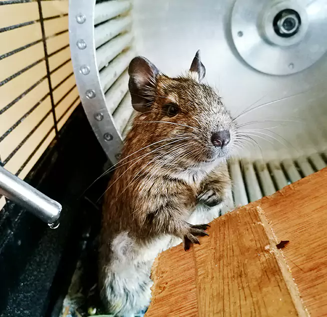 Why Homeowners & Businesses Trust Us Bostonia, CA?