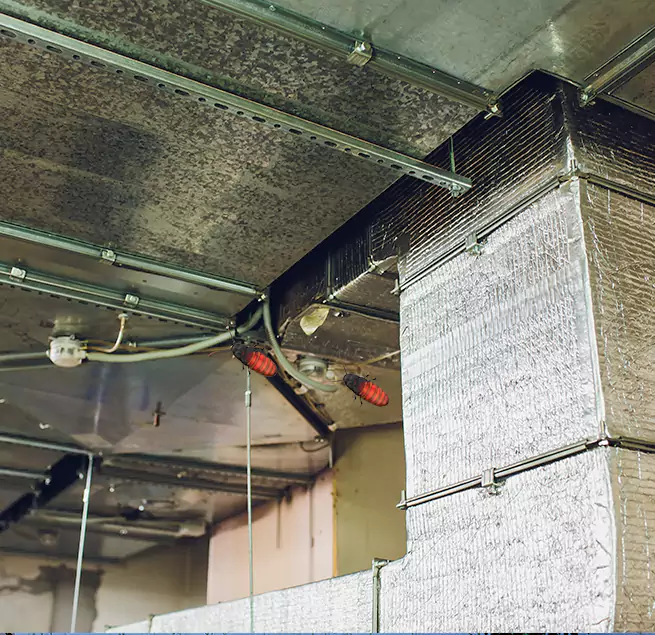 Why Homeowners & Businesses Trust Us Bostonia, CA?