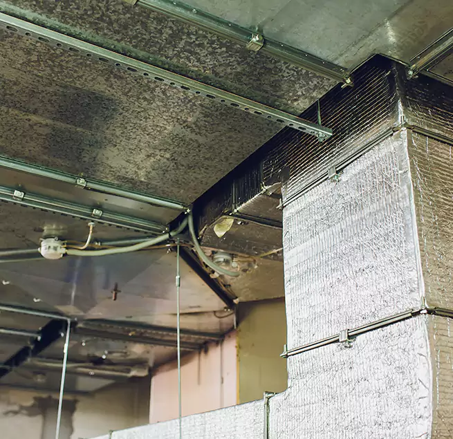 Why Homeowners & Businesses Trust Us in Bostonia, CA?