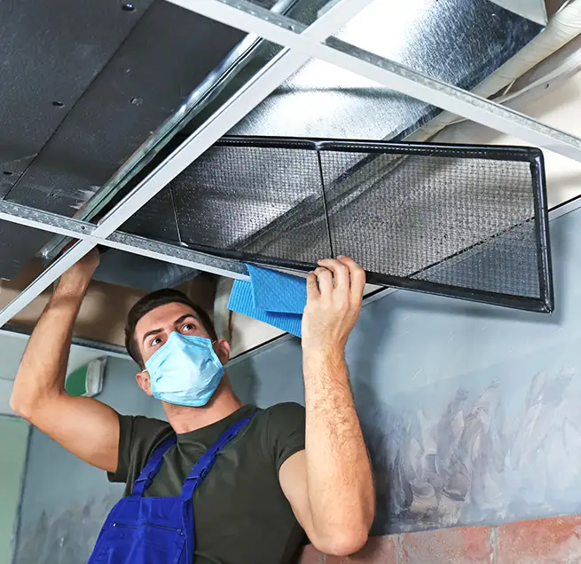 Why Homeowners & Businesses Trust Us in Bostonia, CA?