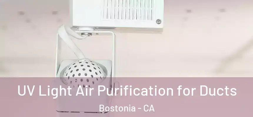  UV Light Air Purification for Ducts Bostonia - CA